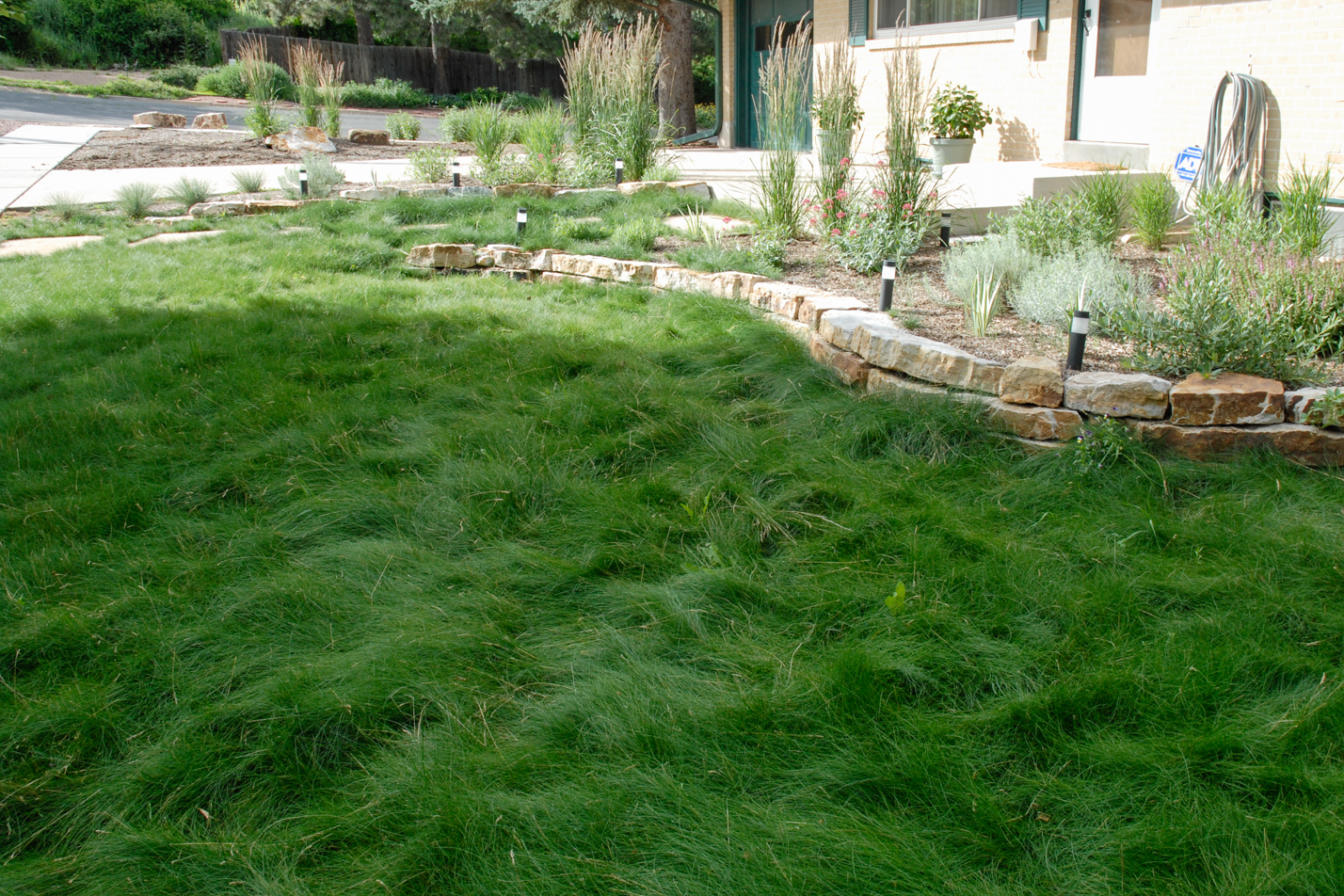 Low Maintenance Reno